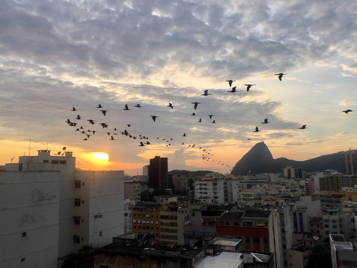 Loft Catete Apartment Rio de Janeiro Luaran gambar